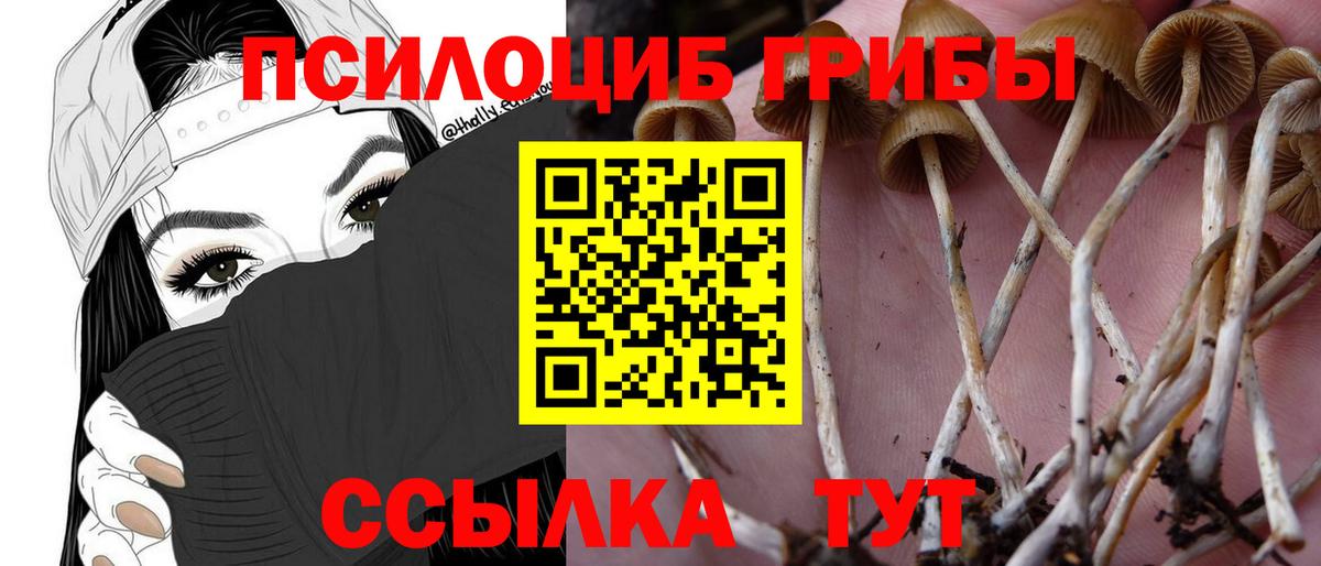 Владивосток  Галлюциногенные грибы MAGIC MUSHROOMS  Вход с VPN 